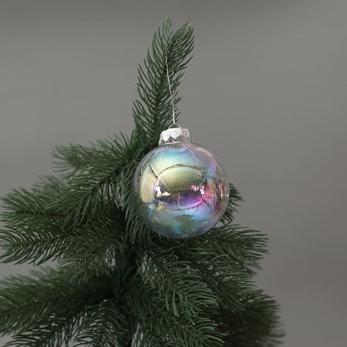 A clear iridescent plastic ball ornament in various shades, hanging from a green tree branch.