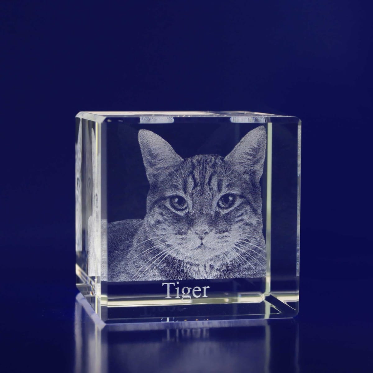 A clear 3D crystal cube featuring a detailed engraving of a cat's face, with the name "Tiger" inscribed at the base.