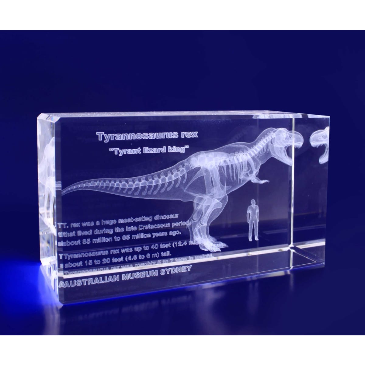 A clear 3D crystal rectangle featuring a Tyrannosaurus rex skeleton and a small figure, all set against a blue background.