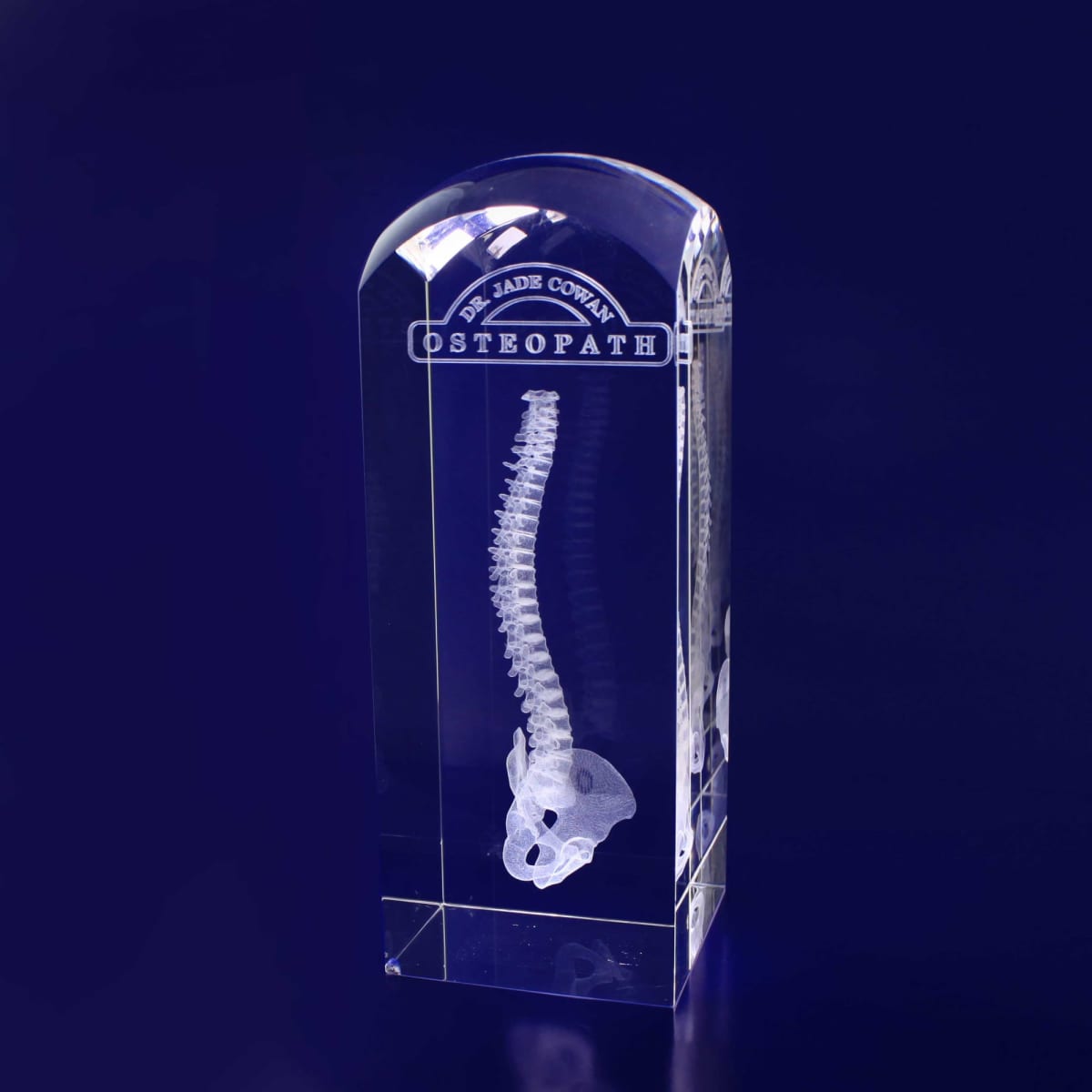 A clear 3D crystal dome featuring a detailed spine and skull design, set on a dark background.