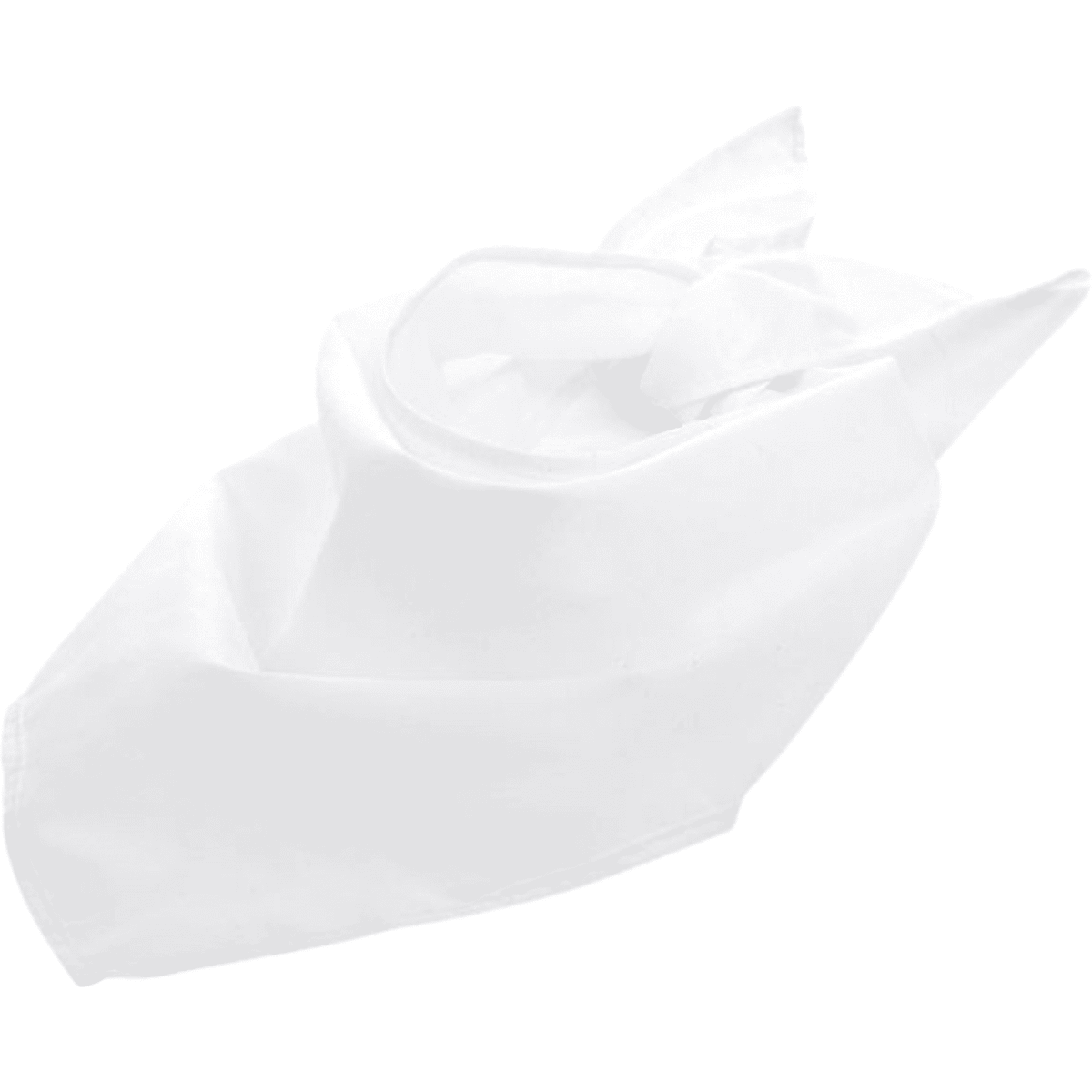 igband01-white