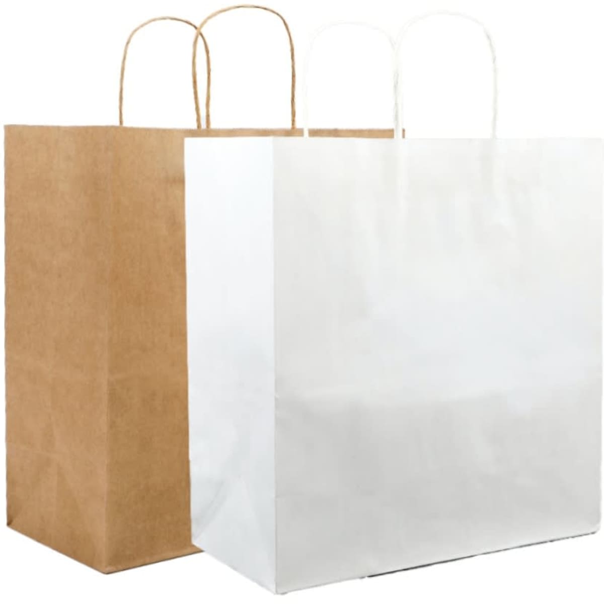 Two shopping bags are displayed side by side: one brown kraft paper bag and one white paper bag, both with handles.