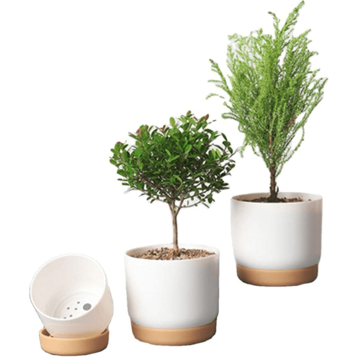 Planter Pot