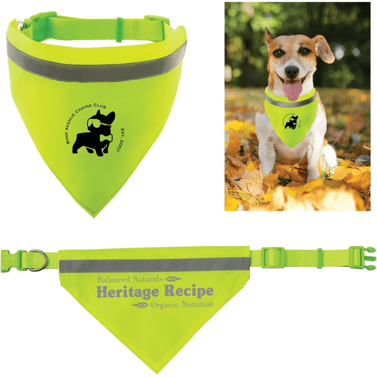 A reflective triangle pet scarf in bright yellow with a buckle, featuring a logo. Includes an image of a dog wearing it.