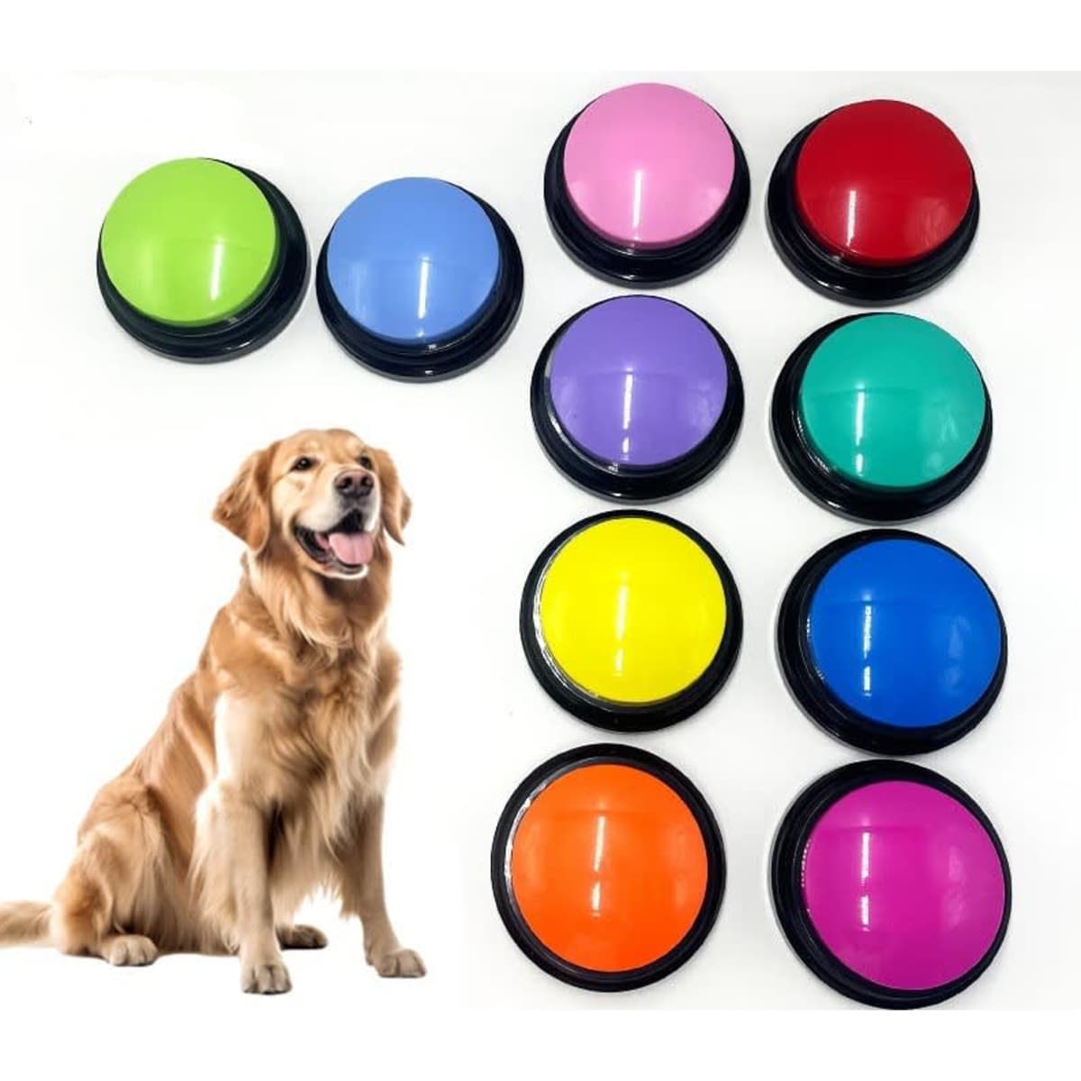 A collection of ten colourful sound buttons in green, blue, purple, red, yellow, teal, and orange, with a golden retriever beside them.