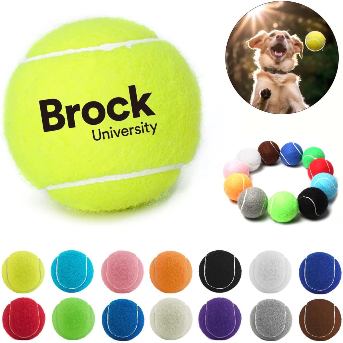 A set of colourful pet tennis balls in various shades, including neon yellow, green, and pink, with a logo on one.