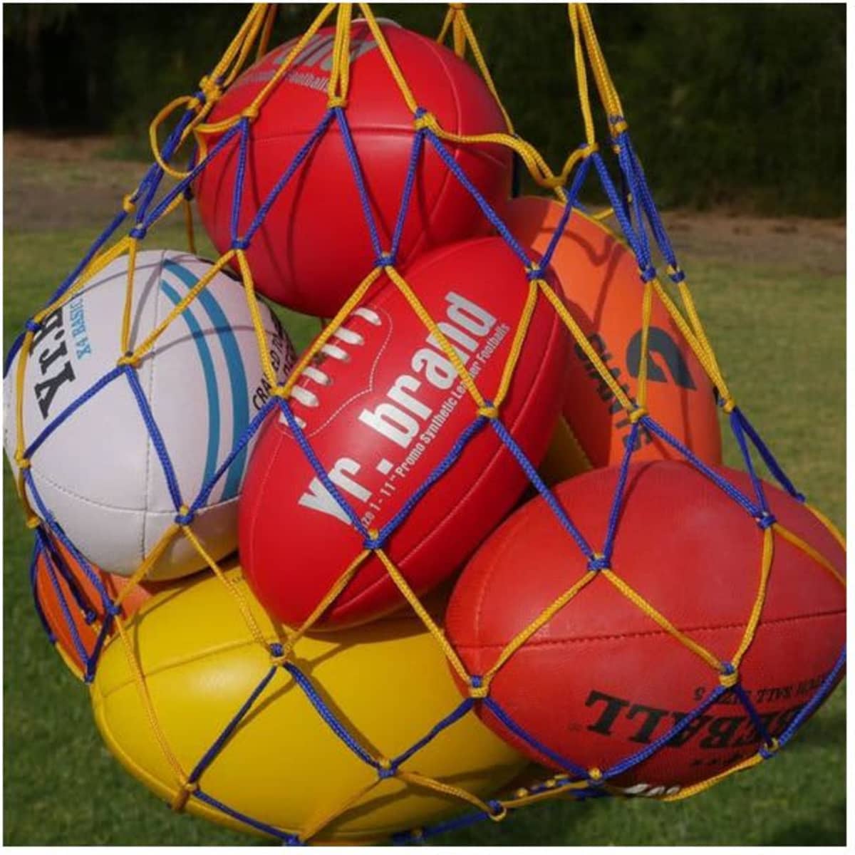 A net bag containing various coloured balls, including red, yellow, and blue, suspended against a green background.