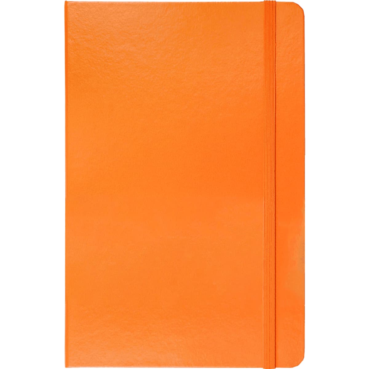 9196or_2025818955