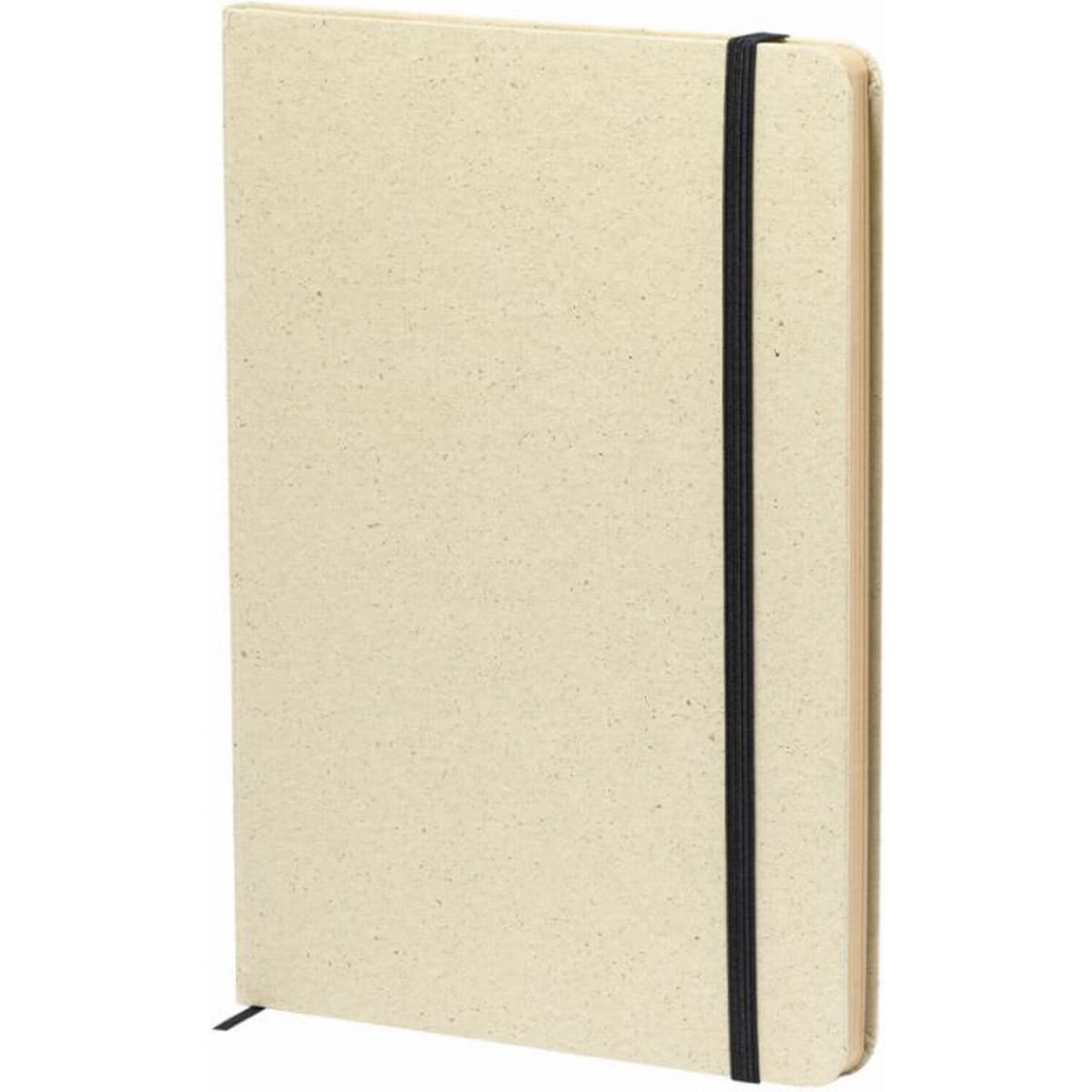 A notebook with a beige cover and black elastic band, featuring blank pages and a minimalistic design.