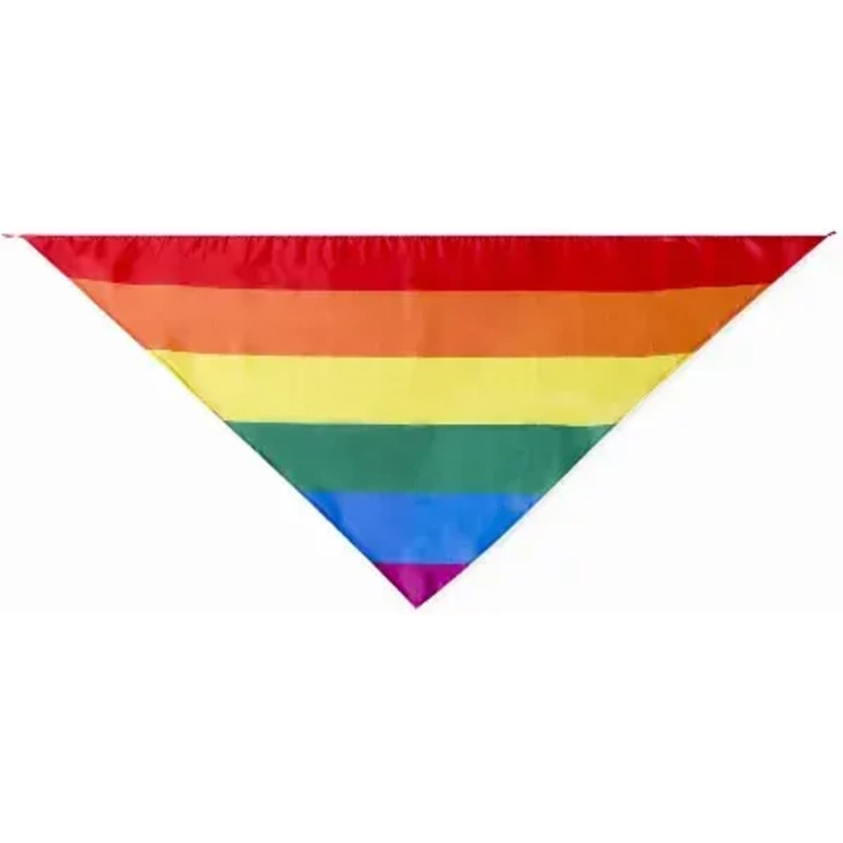 A triangular flag featuring horizontal stripes in rainbow colours, including red, orange, yellow, green, blue, and purple.
