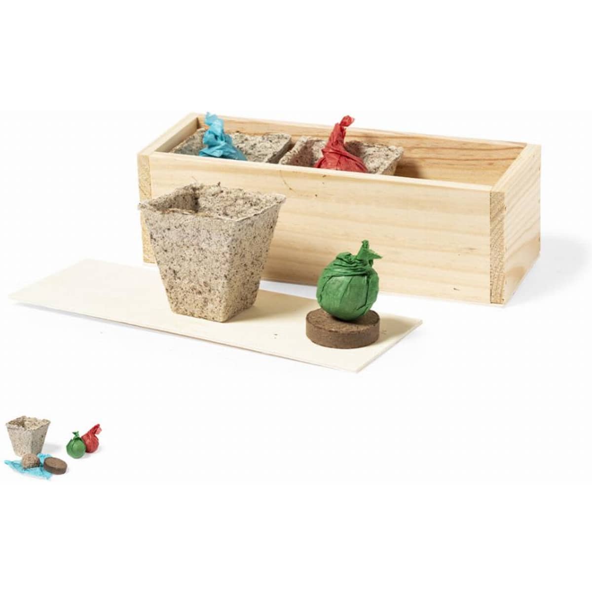 A decorative wooden box containing biodegradable planting pots in beige, with colourful seed packets and discs.
