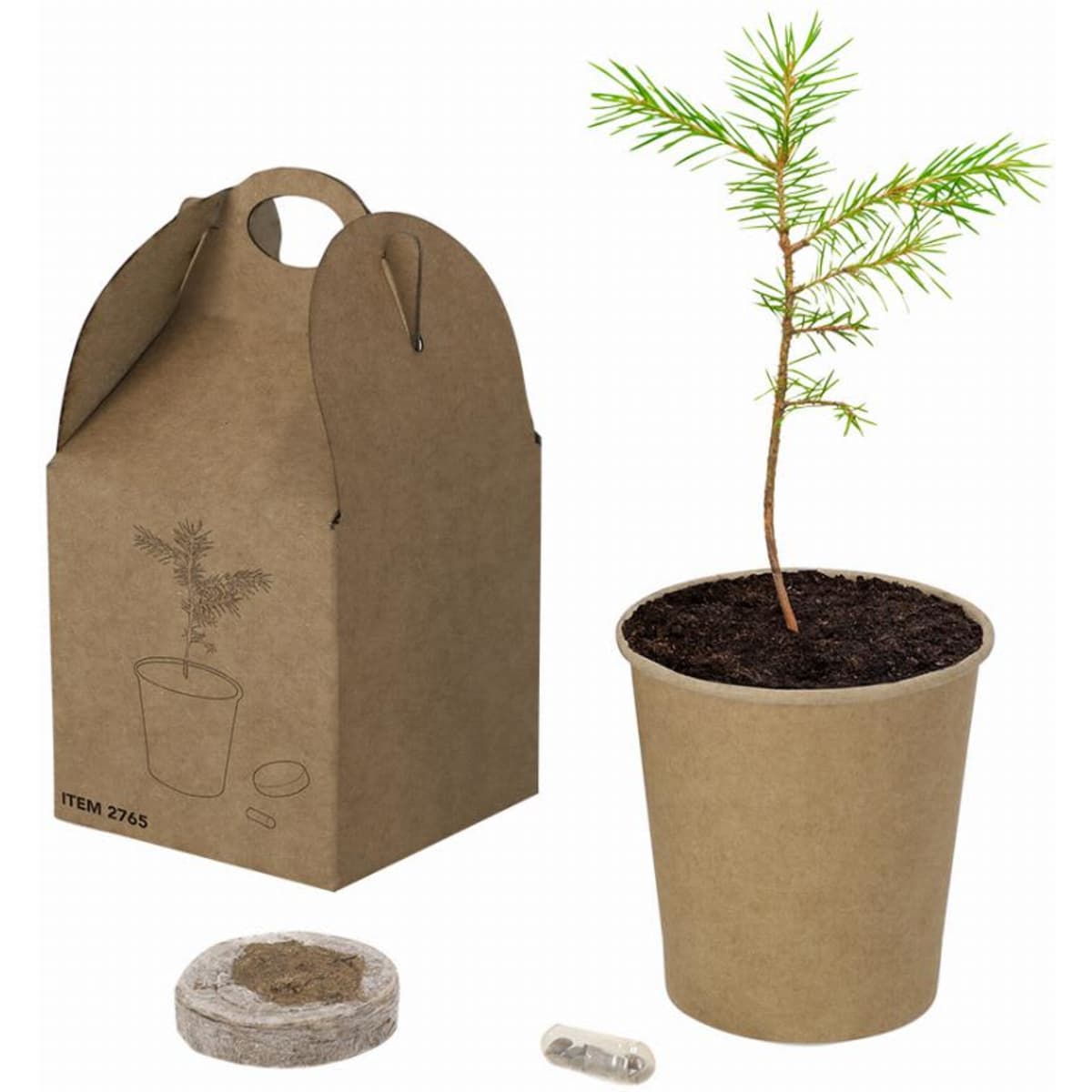 A plant in a biodegradable pot, with a cardboard packaging and a small disk for planting included.