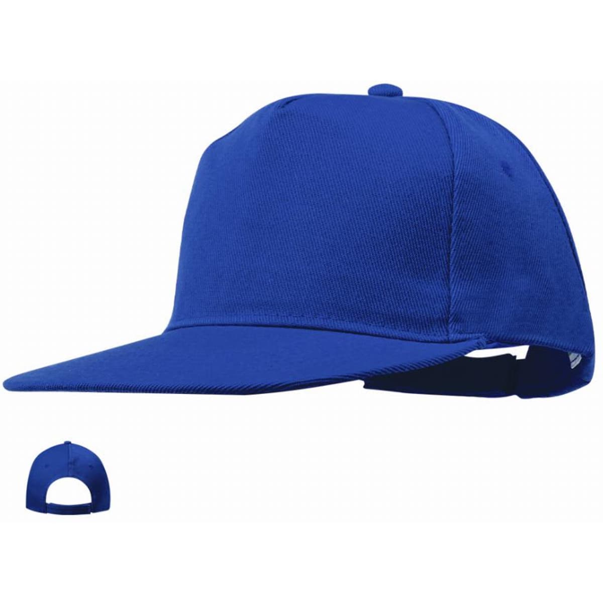A blue cap with a flat brim and an adjustable strap at the back, featuring a logo.