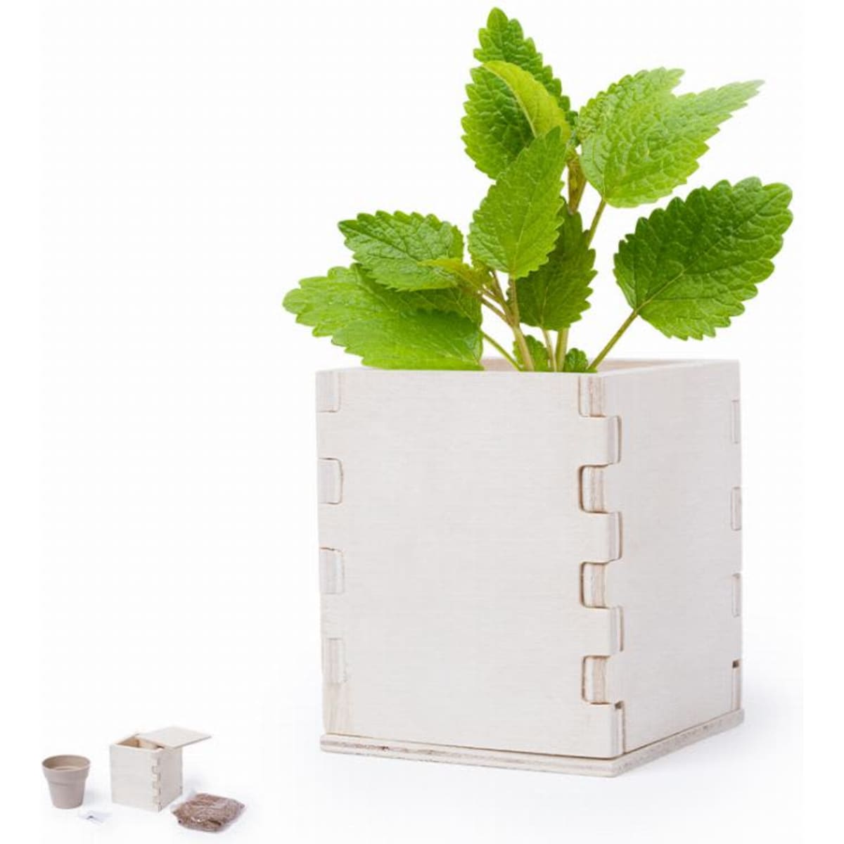 A wooden planter box containing fresh green herb leaves, accompanied by small seed packets and a mini pot.