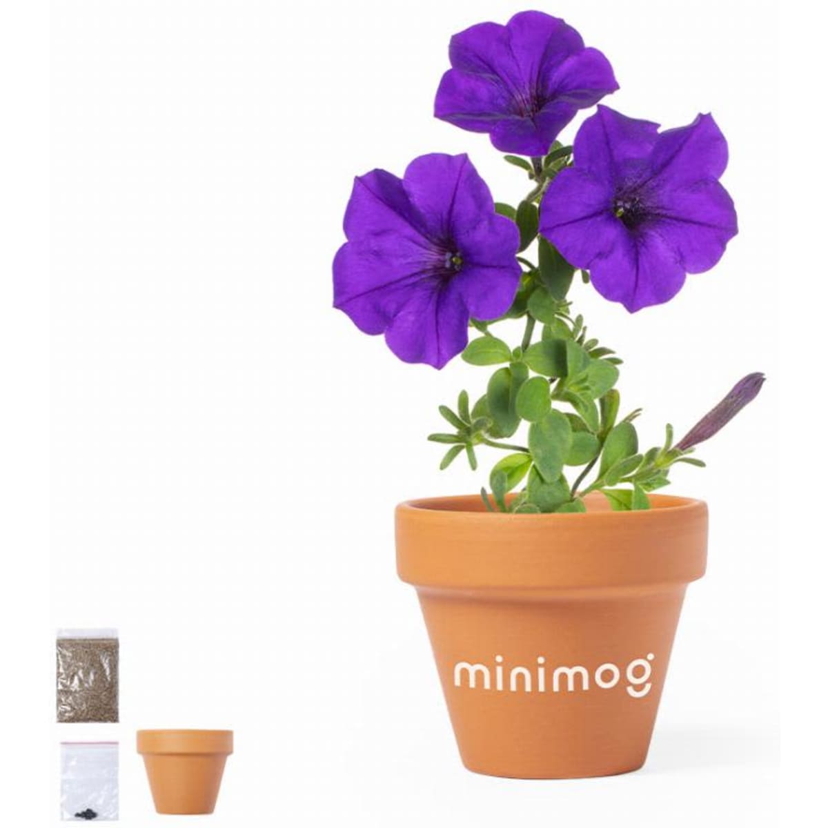 A terracotta pot with three vibrant purple petunia flowers attached to green stems, alongside seed packets and soil.