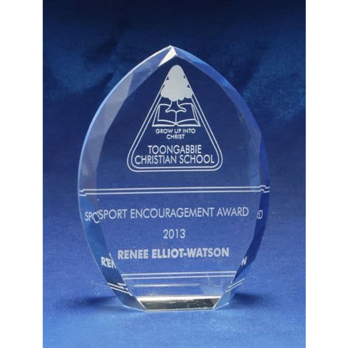 A crystal award in a diamond shape with engraved text, featuring a logo at the top and a blue backdrop.