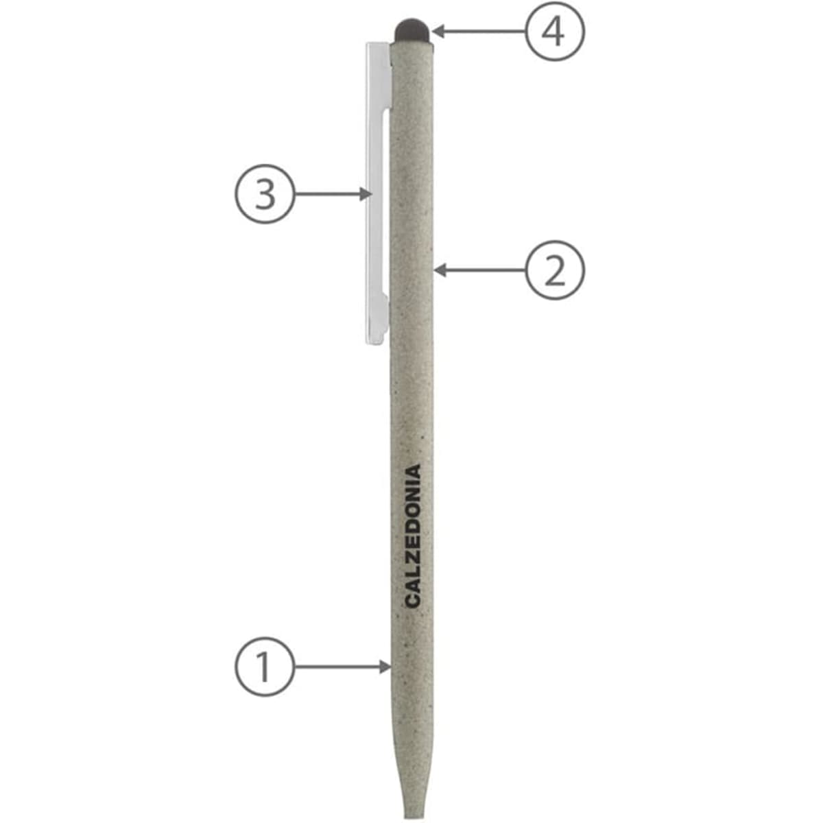 bnd78smaster_calzedonia_2__19