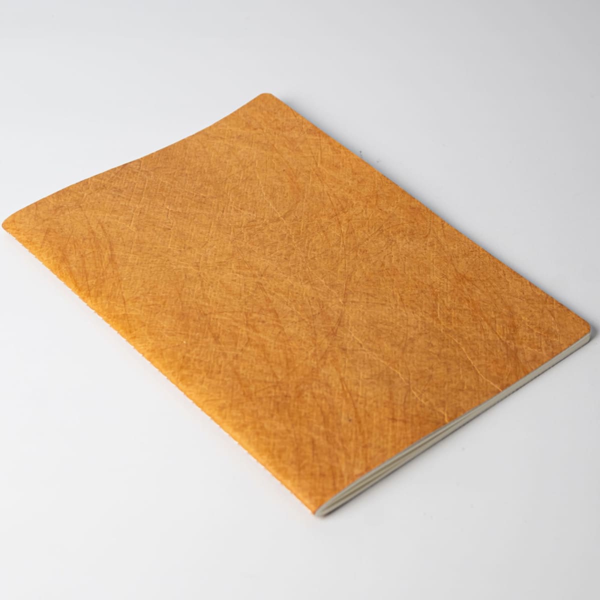 pbs0063-scaled