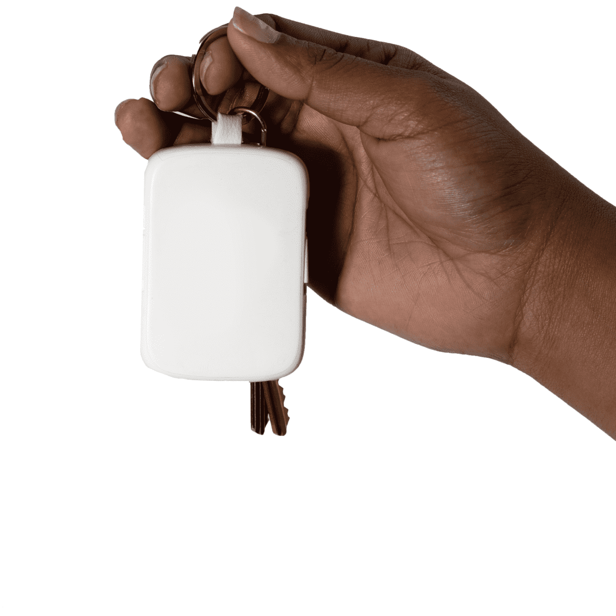 white-with-white-background-1
