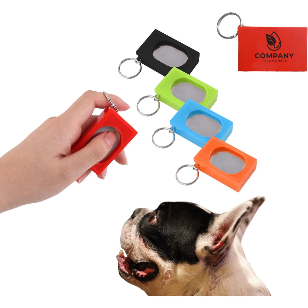 A set of pet training clickers in red, black, green, orange, and a hand holding one. The clickers have a keychain attachment.