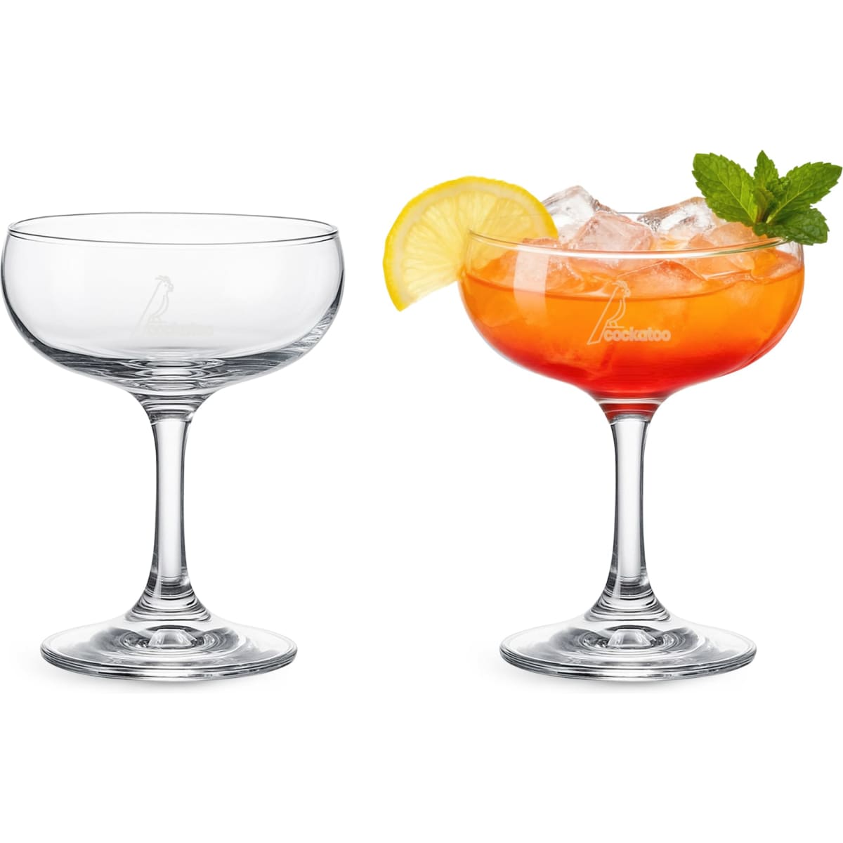 Martini Coupe Glass