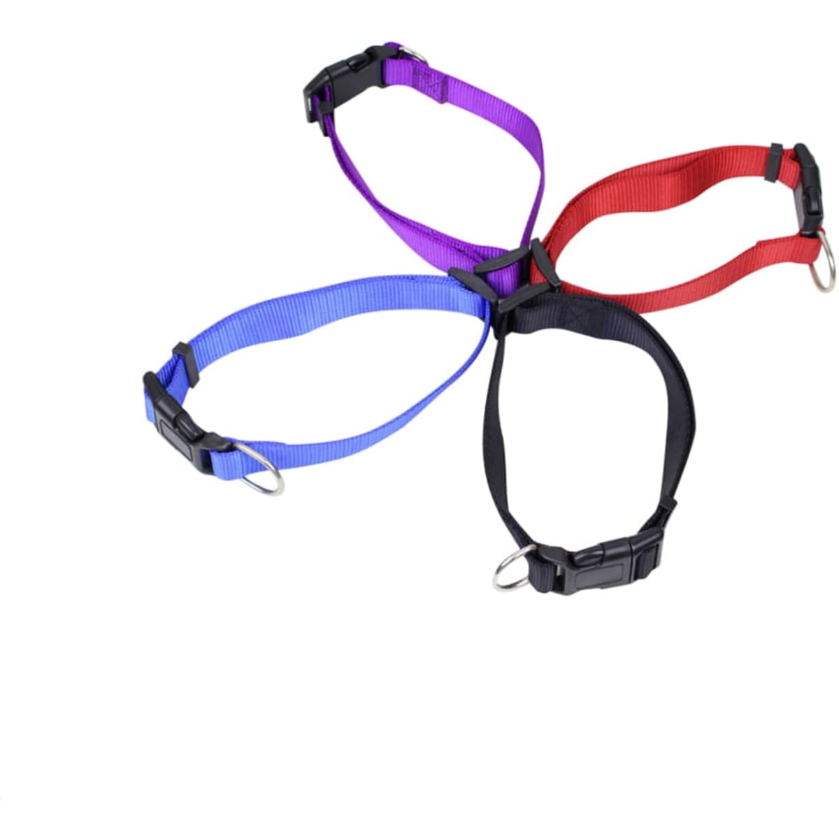 Dog Collar