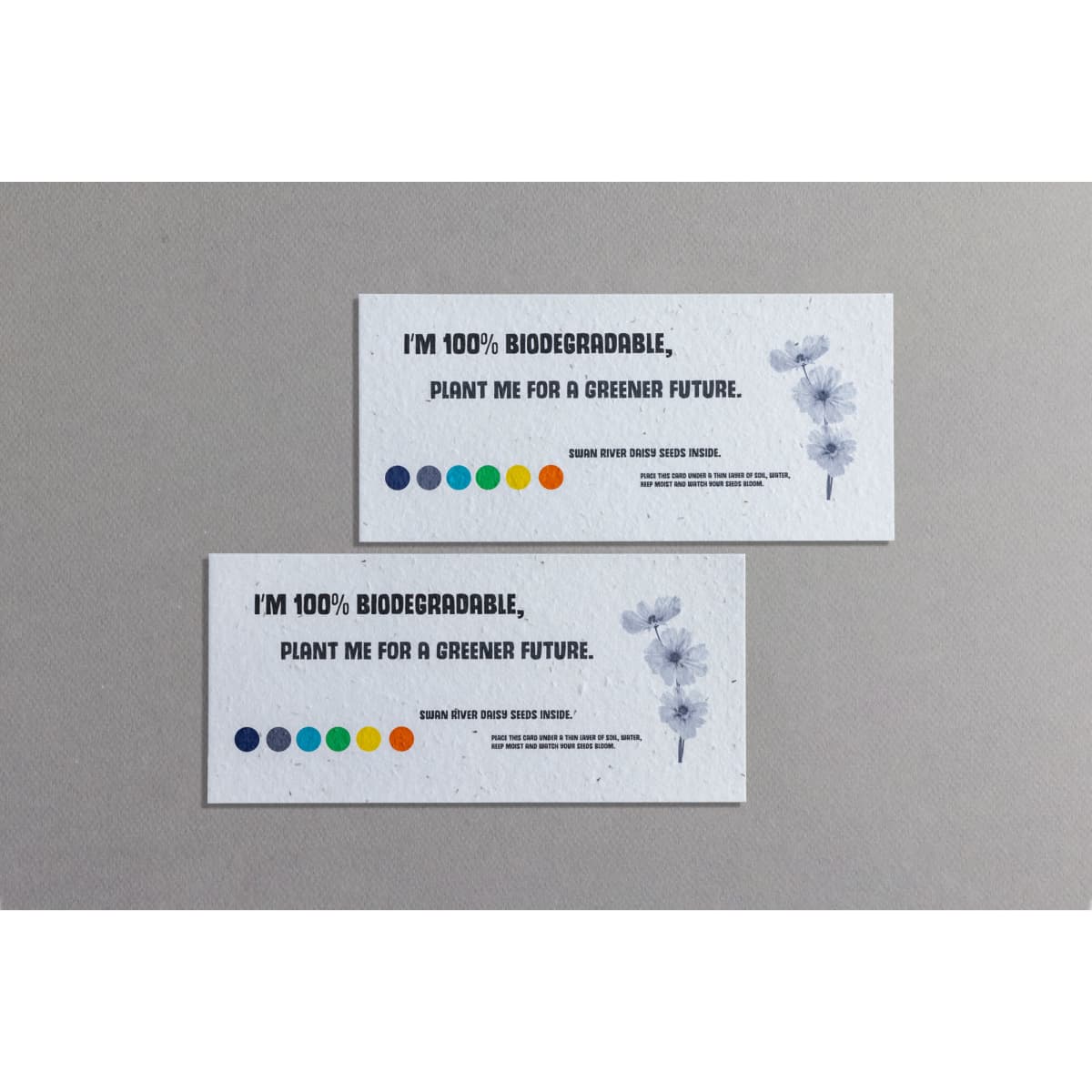 Seed paper cards in natural tones with floral illustrations, featuring a logo and vibrant colour dots.