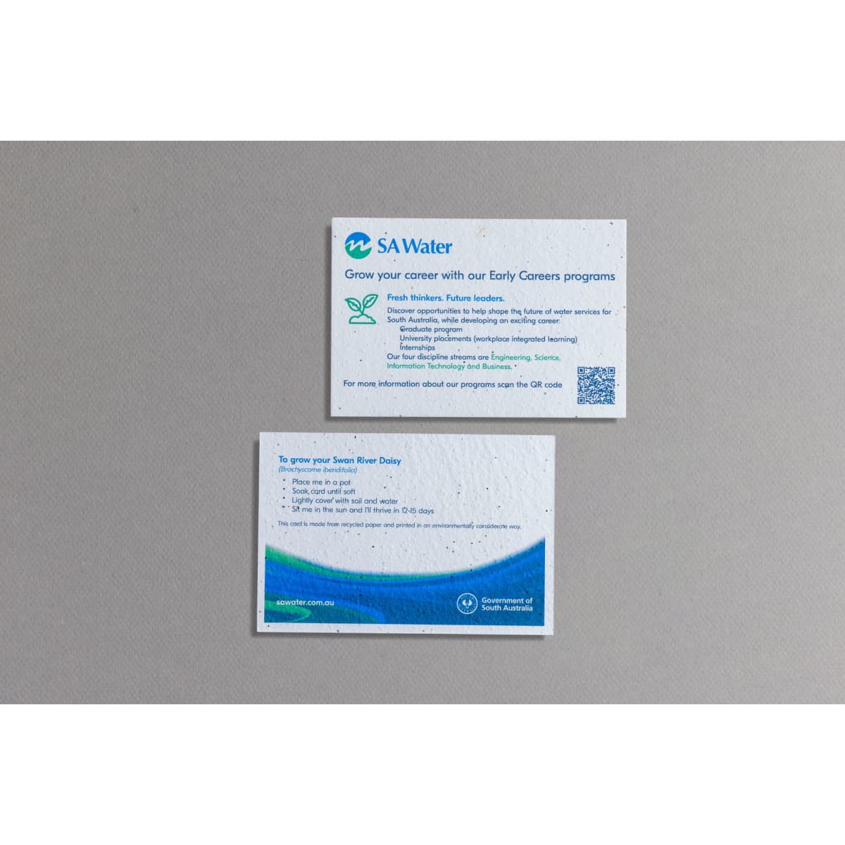 Two seed paper postcards, featuring a textured white surface with colours green and blue, and a logo on the top card.