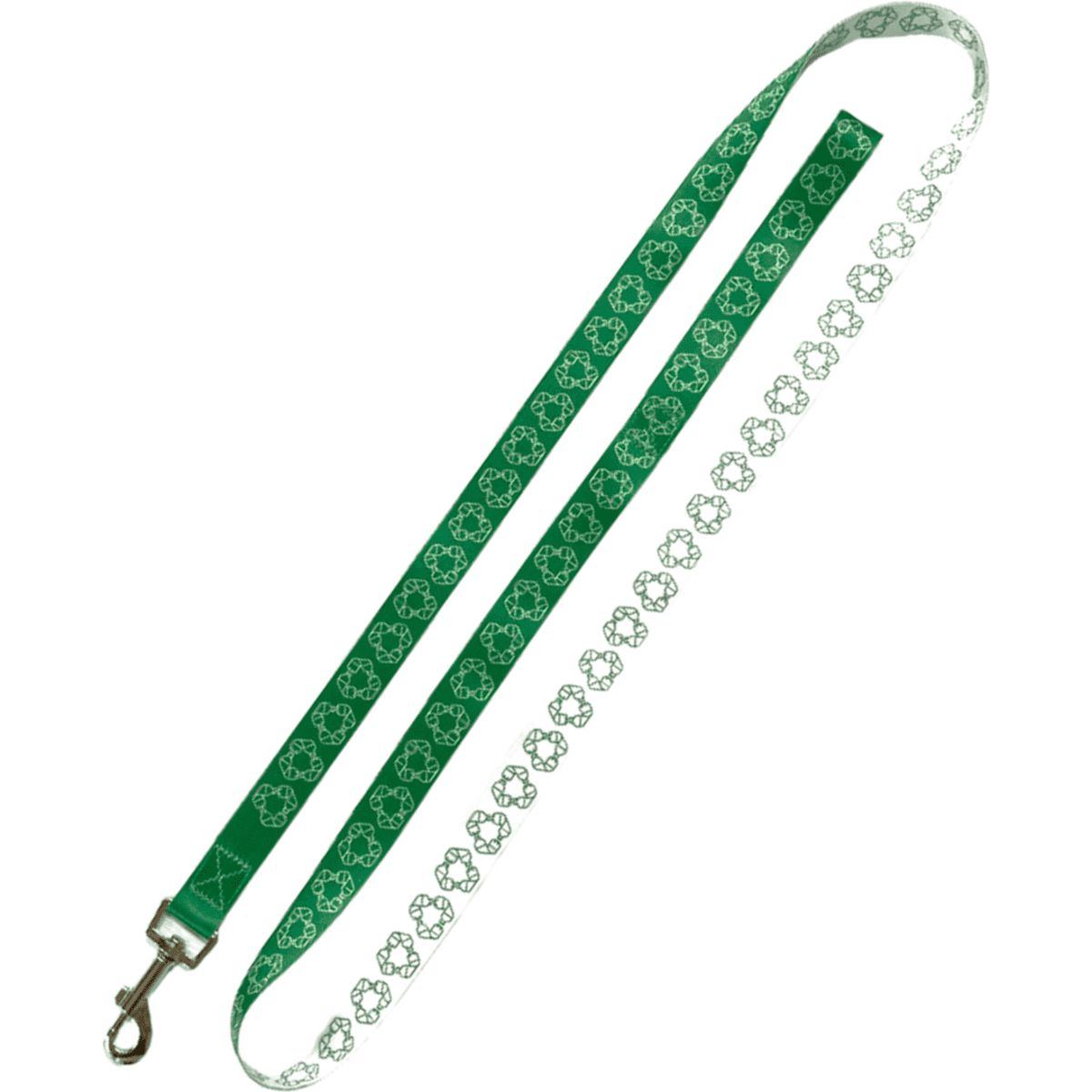 A green rPET dog leash featuring a patterned design with a silver clasp and a branding logo.