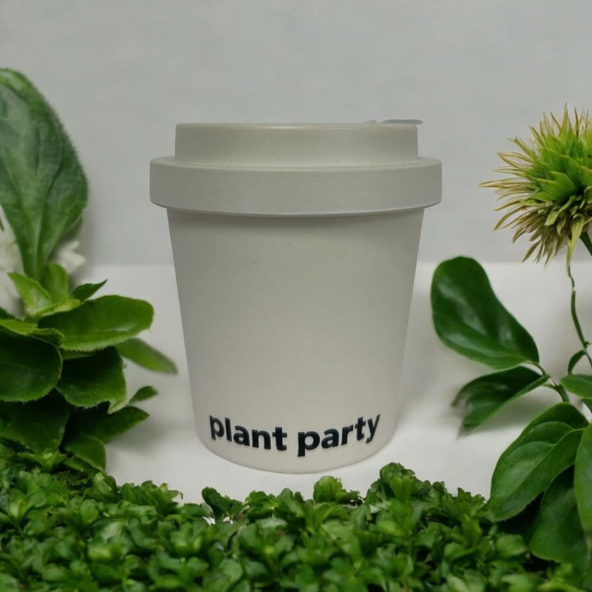 A bamboo coffee cup with a hard lid in a light grey colour, featuring a logo and surrounded by greenery.