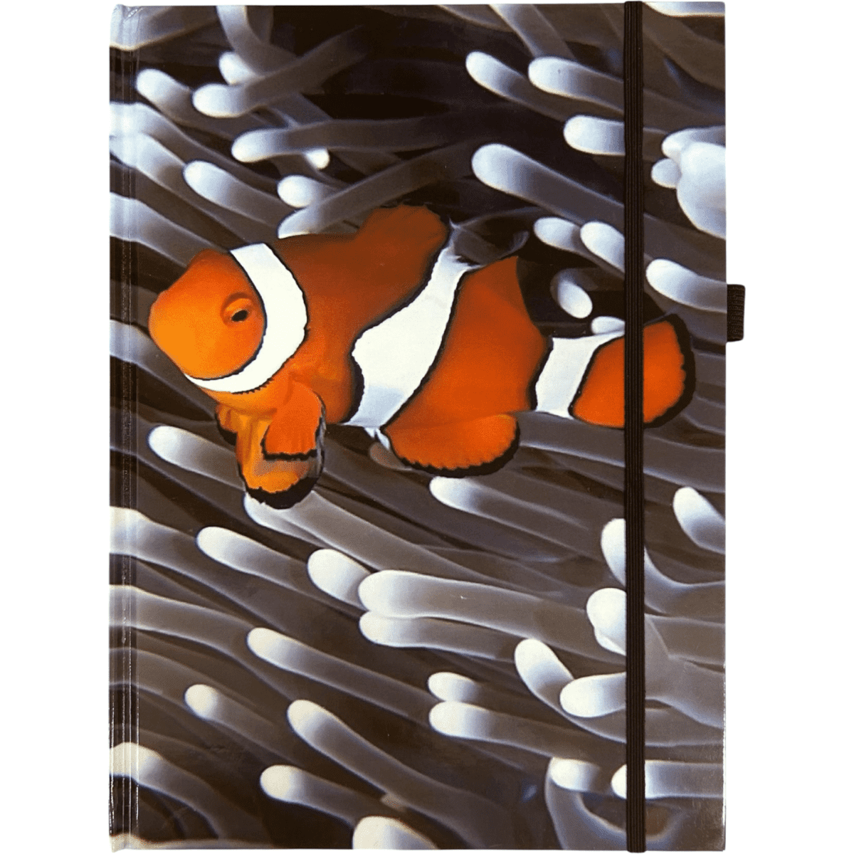A hard cover notebook featuring a vibrant orange clownfish design on a black and white background, with an elastic closure.