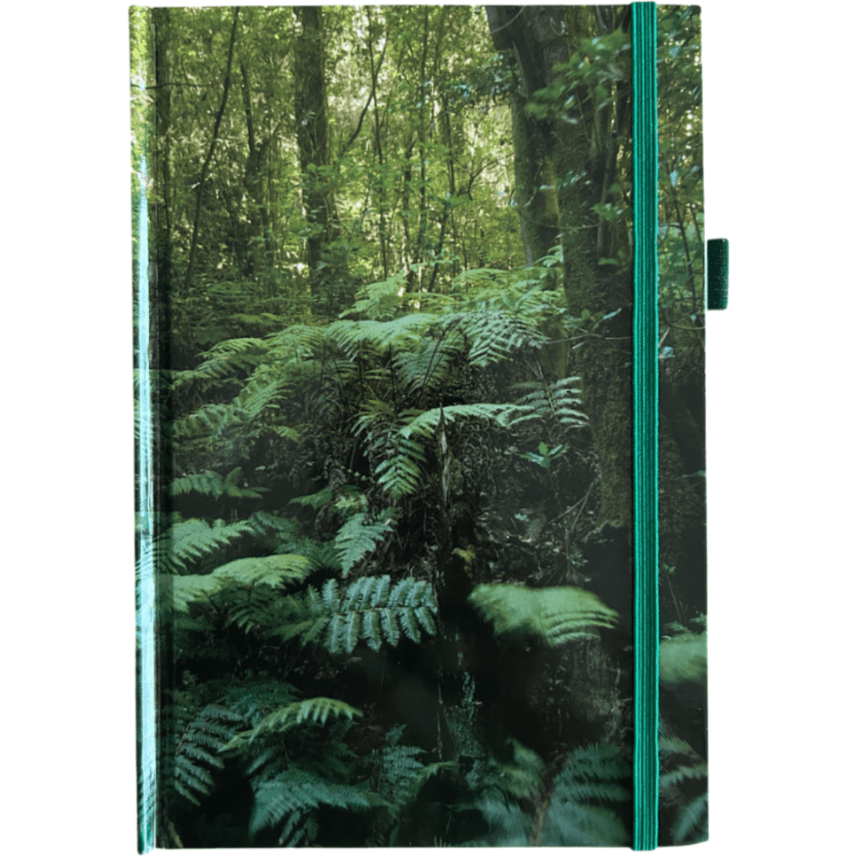 A hard cover notebook featuring a green fern forest design, with a teal binding and an elastic closure.