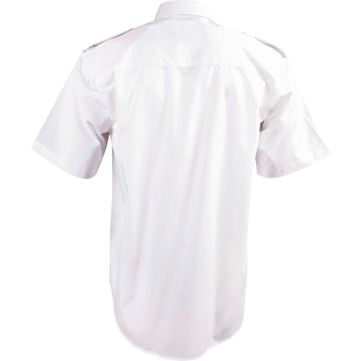 bs06s_white_back
