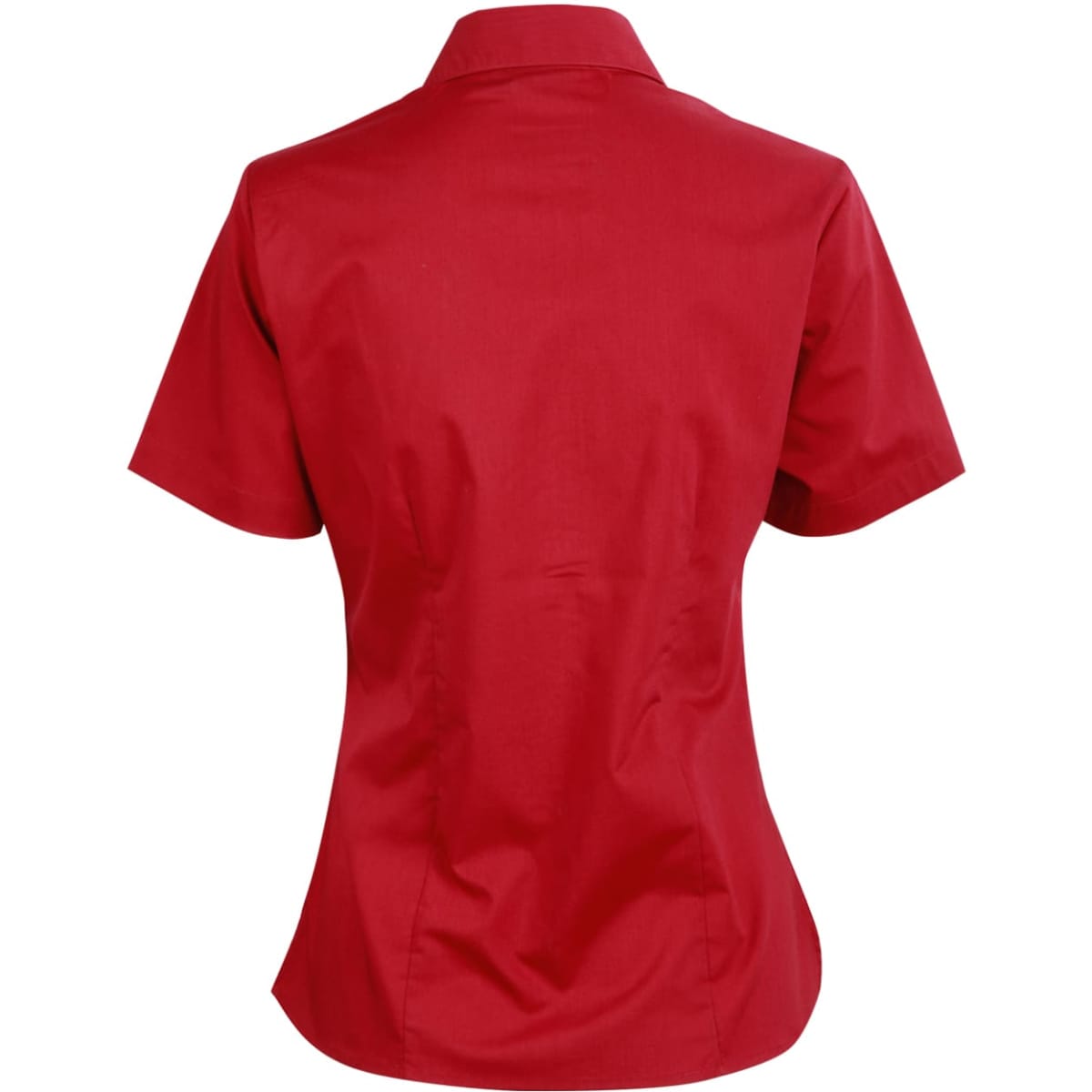 bs07s_cherryred_back