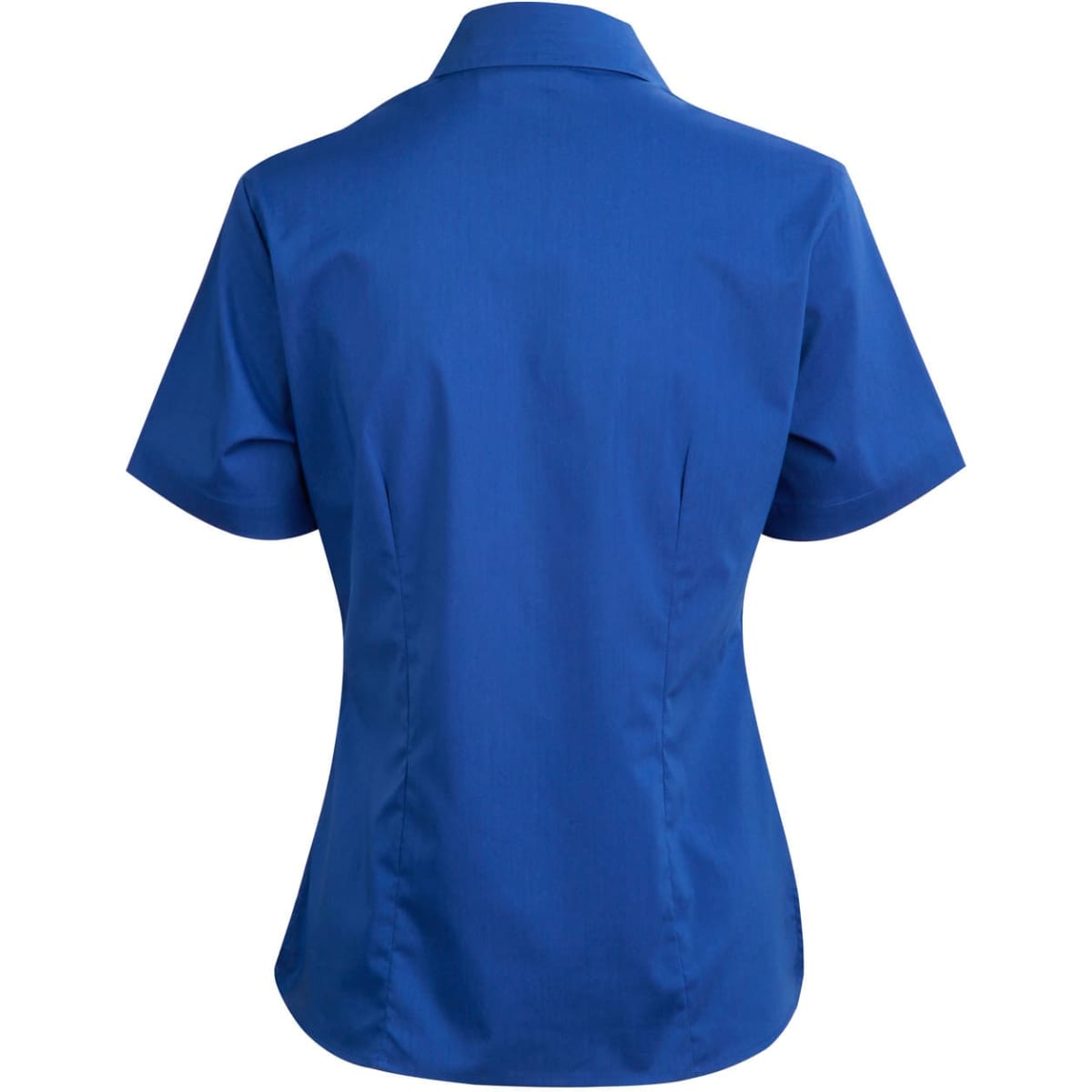 bs07s_royal_back