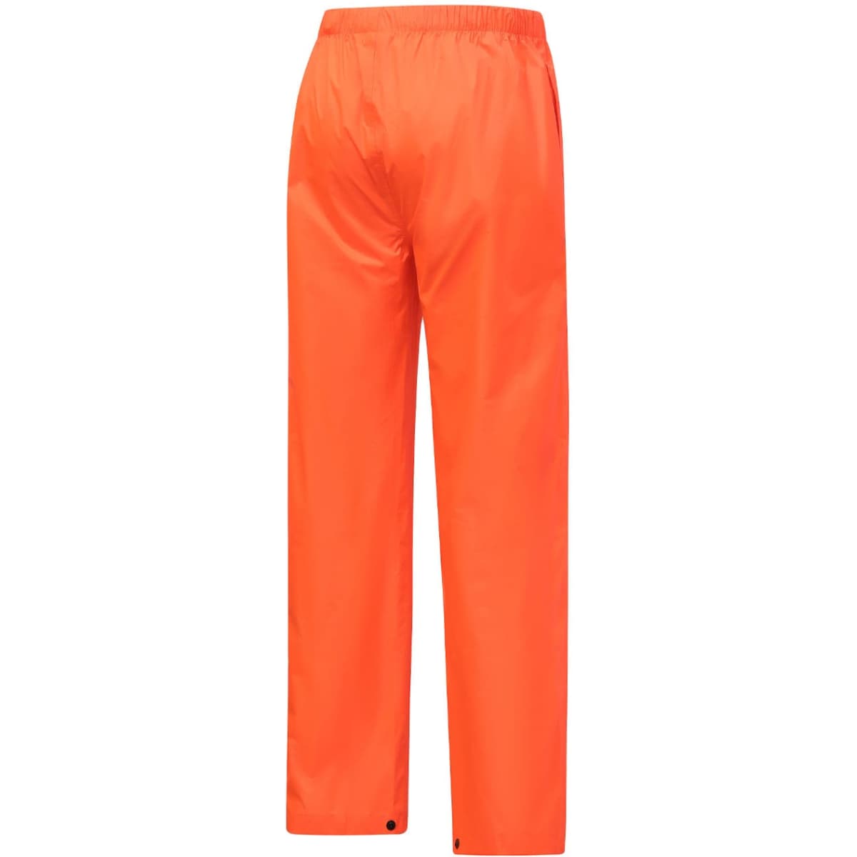 hp02_orange_back