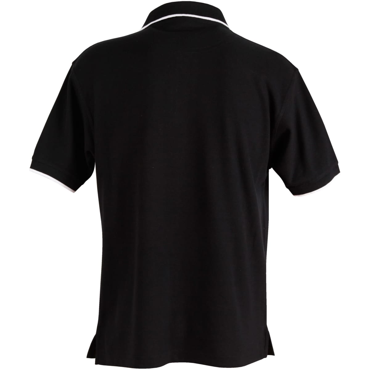 ps08_blackwhite_back_l