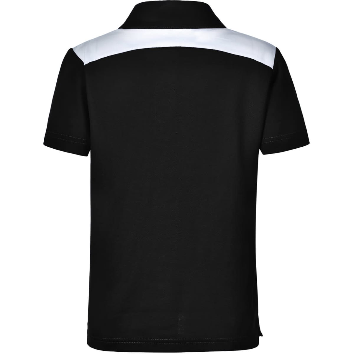ps31k_blackwhite_back