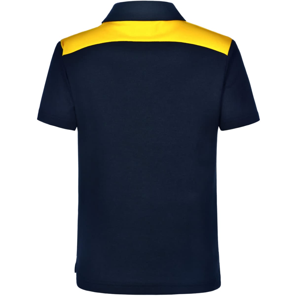 ps31k_navygold_back