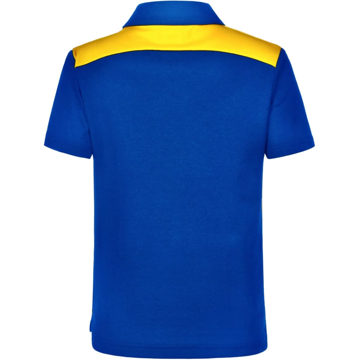 ps31k_royalgold_back