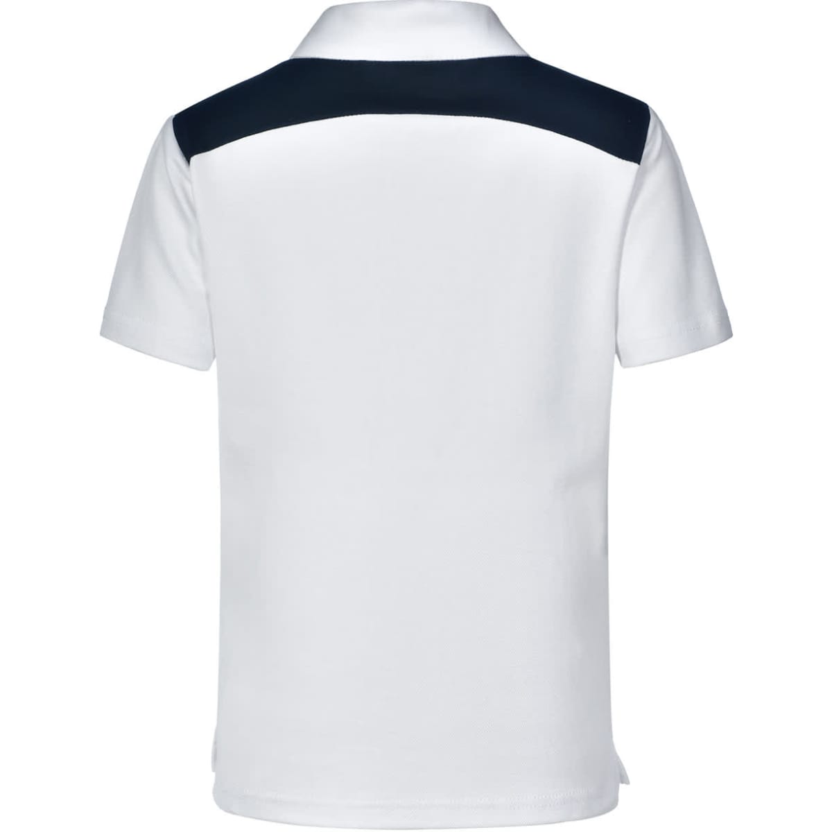 ps31k_whitenavy_back