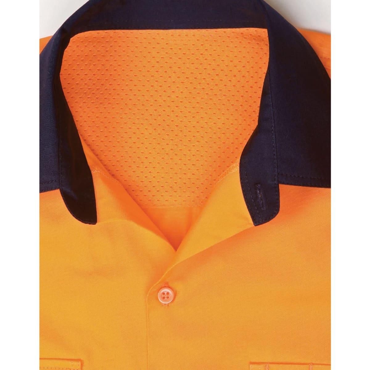 sw83_insidecollar