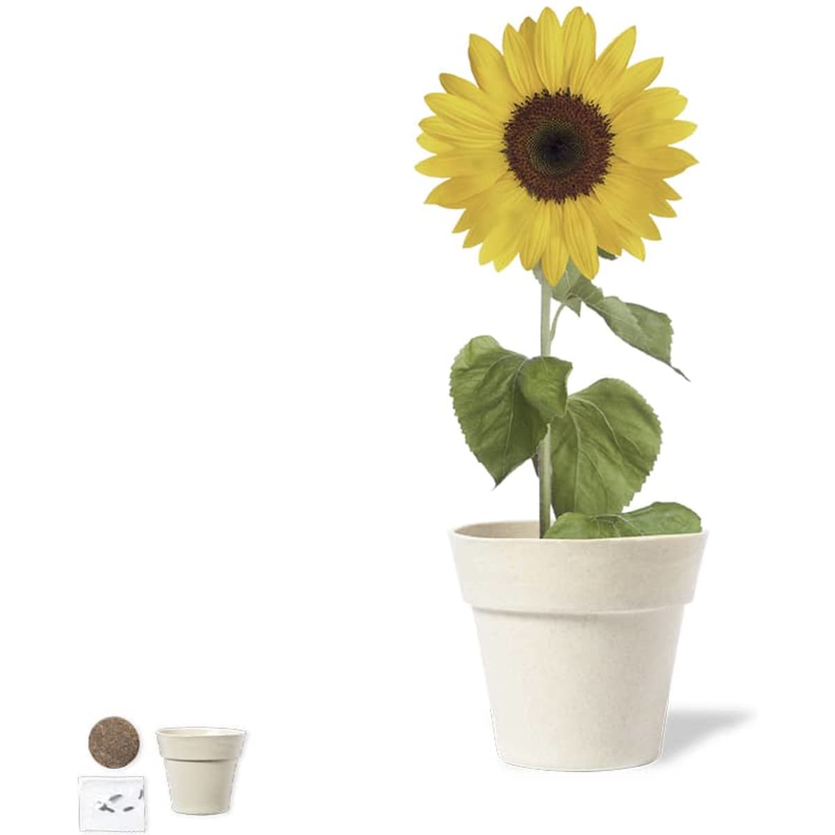 A white pot with a sunflower and green leaves, accompanied by soil pellets and a smaller pot. Branding is present.