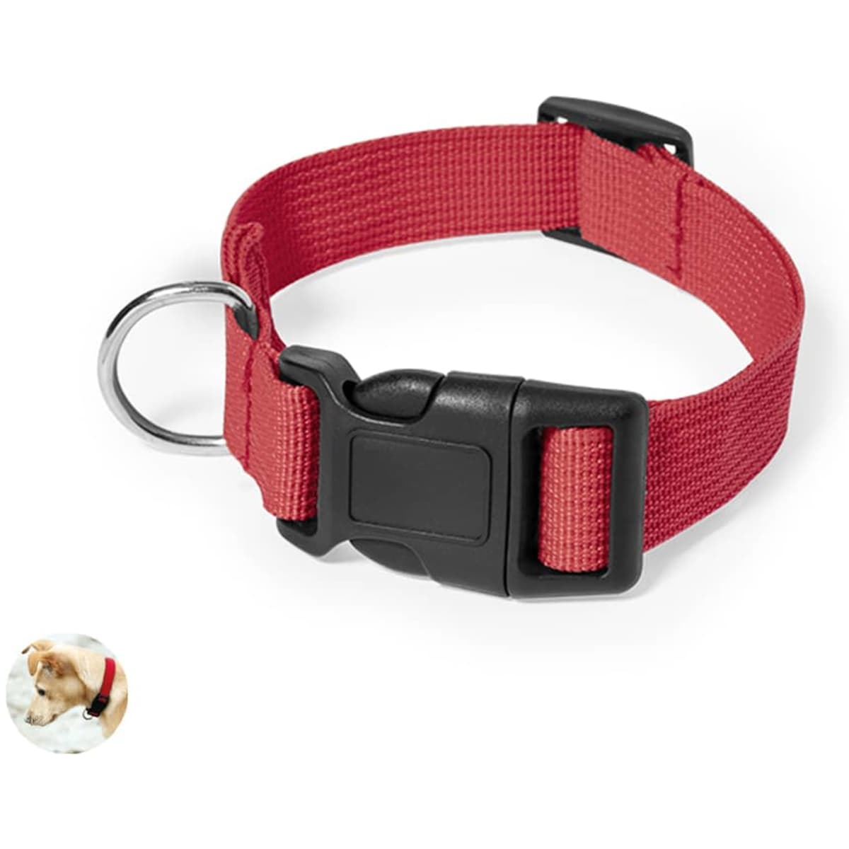 A red pet collar made of nylon, featuring a black clip buckle and a metal ring for attaching a lead.