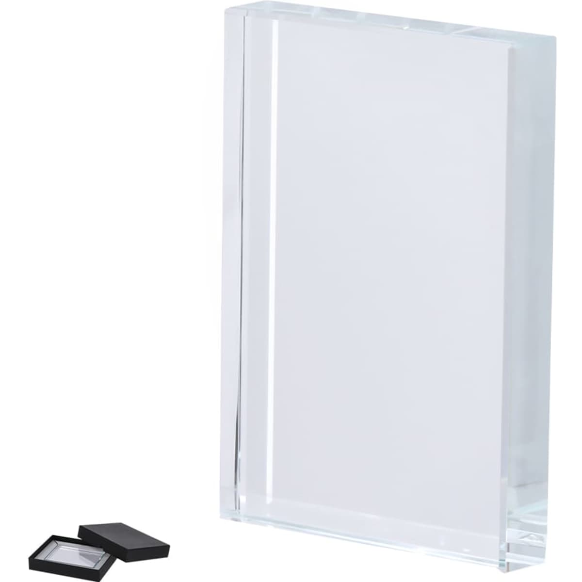 A clear acrylic award plaque with a black presentation box. The plaque has a sleek, modern design.