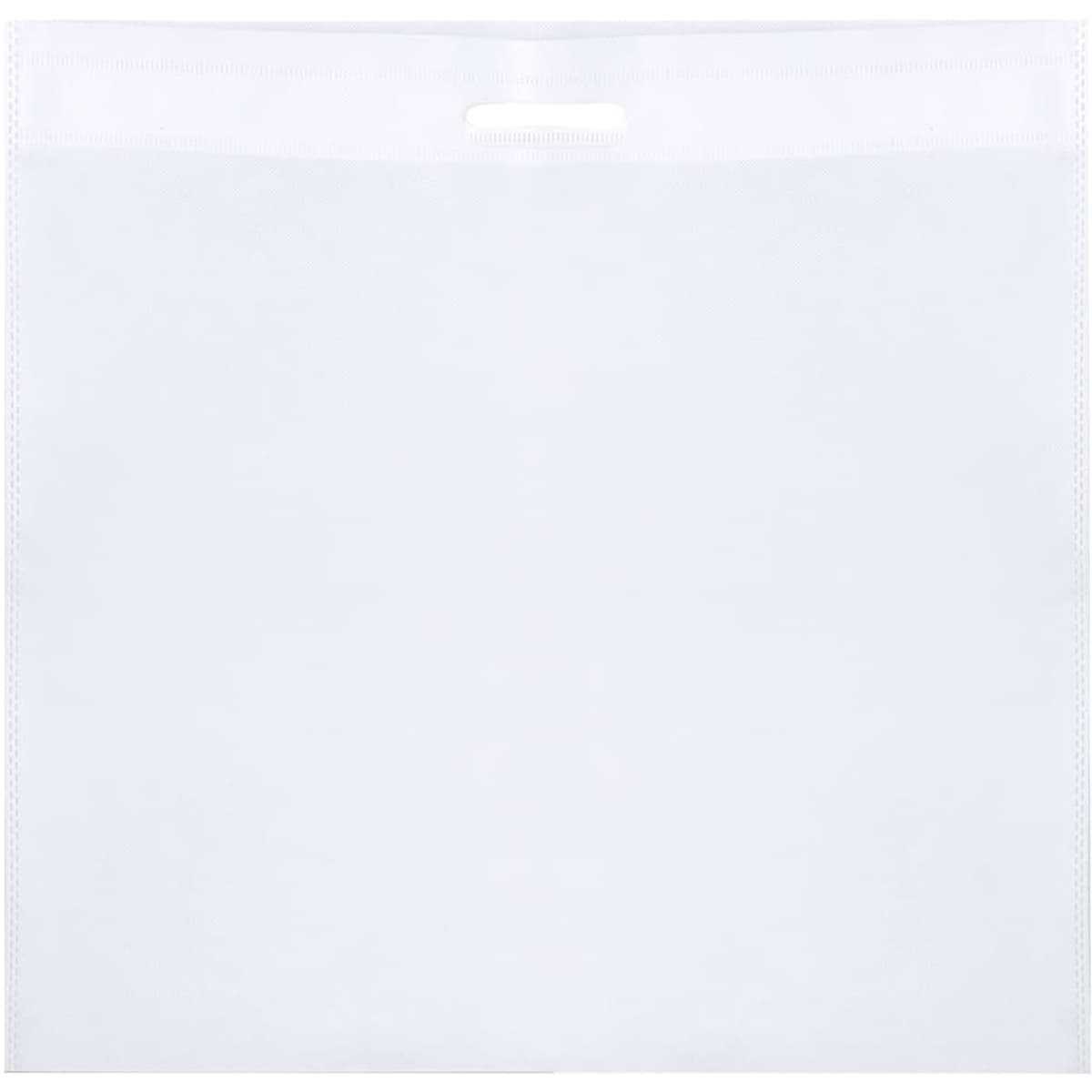 A transparent, white Tylok Bag featuring a handle and a simple design, suitable for various storage needs.