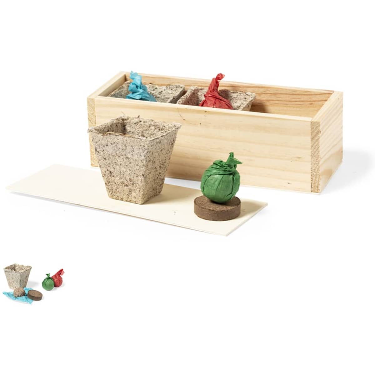 A wooden box containing biodegradable seed pots in brown, with red and blue markers, and a green seed shape.