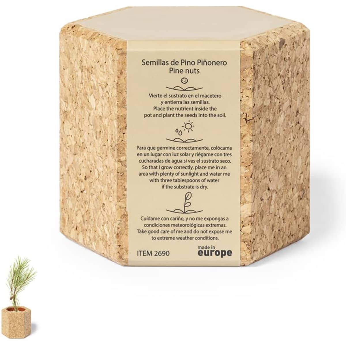 A hexagonal cork planter with sowing instructions and a small pine sapling emerging from the top.