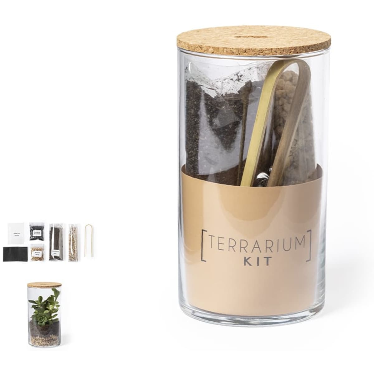 A terrarium kit in a clear glass container with a cork lid, featuring soil, plant seeds, and tools.