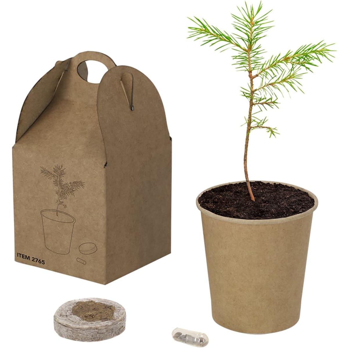 A plant growing in a biodegradable pot, alongside a cardboard gift box and seed capsule. Earthy tones dominate the set.